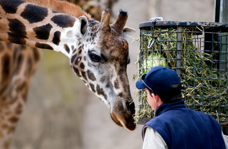 Zoos, Aquariums, and Wildlife Conservation Zoos, Aquariums, and Wildlife Conservation