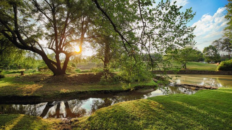 Furman Japanese 2 768x432