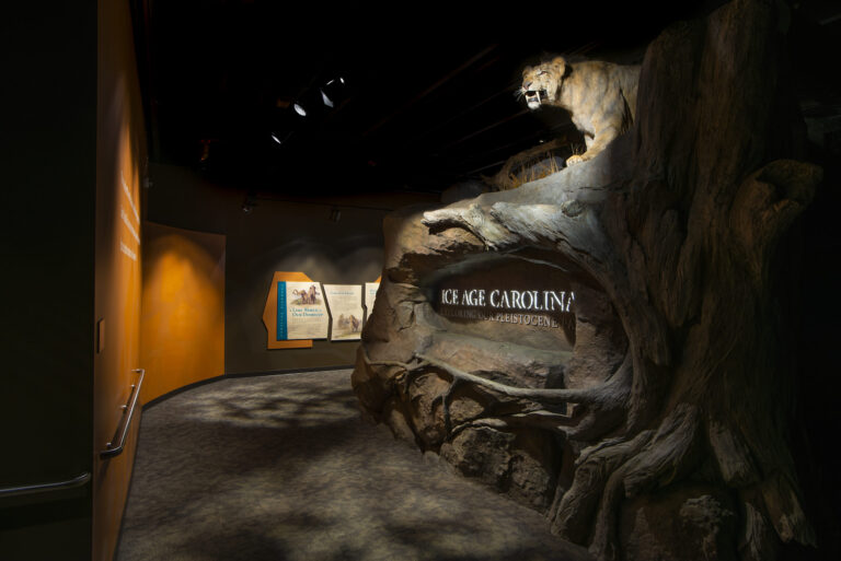 MYCO DSC 2045 scaled 1 768x513