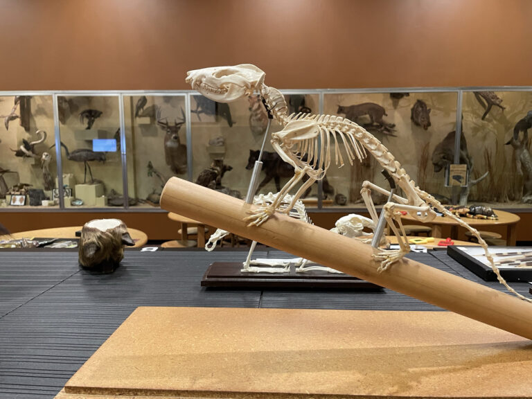 MYCO NC pic scaled 1 768x576