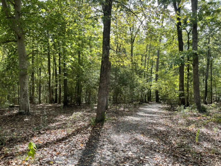 Myco trail 2 scaled 1 768x576