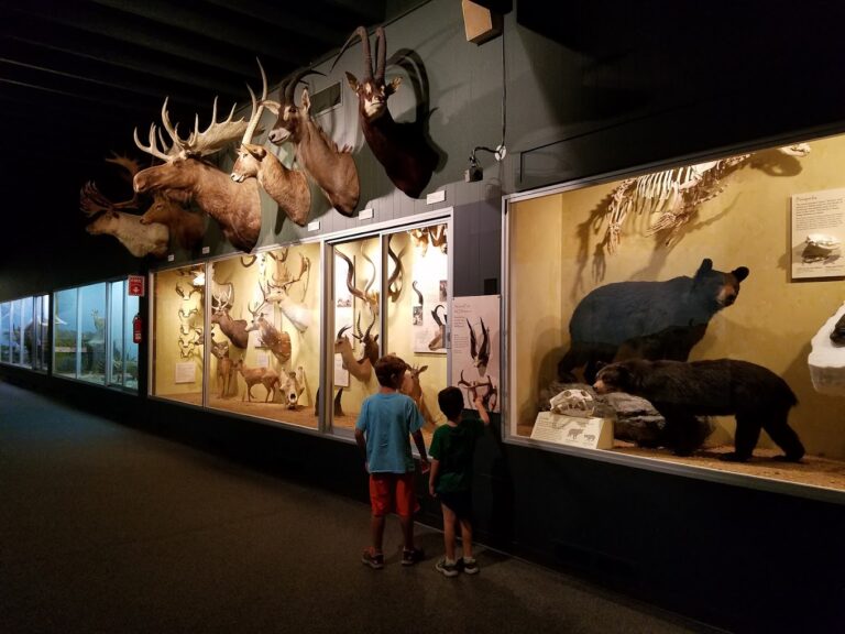 Museum of York County SC 4 768x576