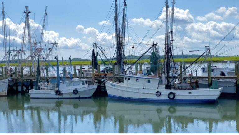 PortRoyalShrimpBoats 1024x580 1 768x435