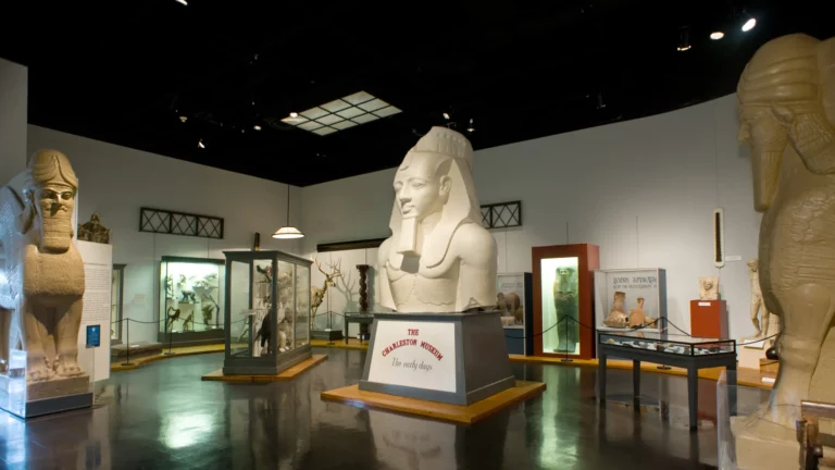 charleston 1 768x432