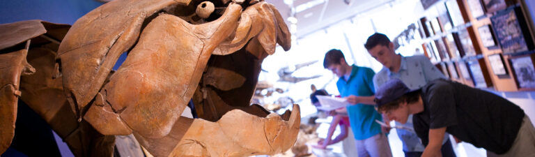 Mace Brown 1 768x225